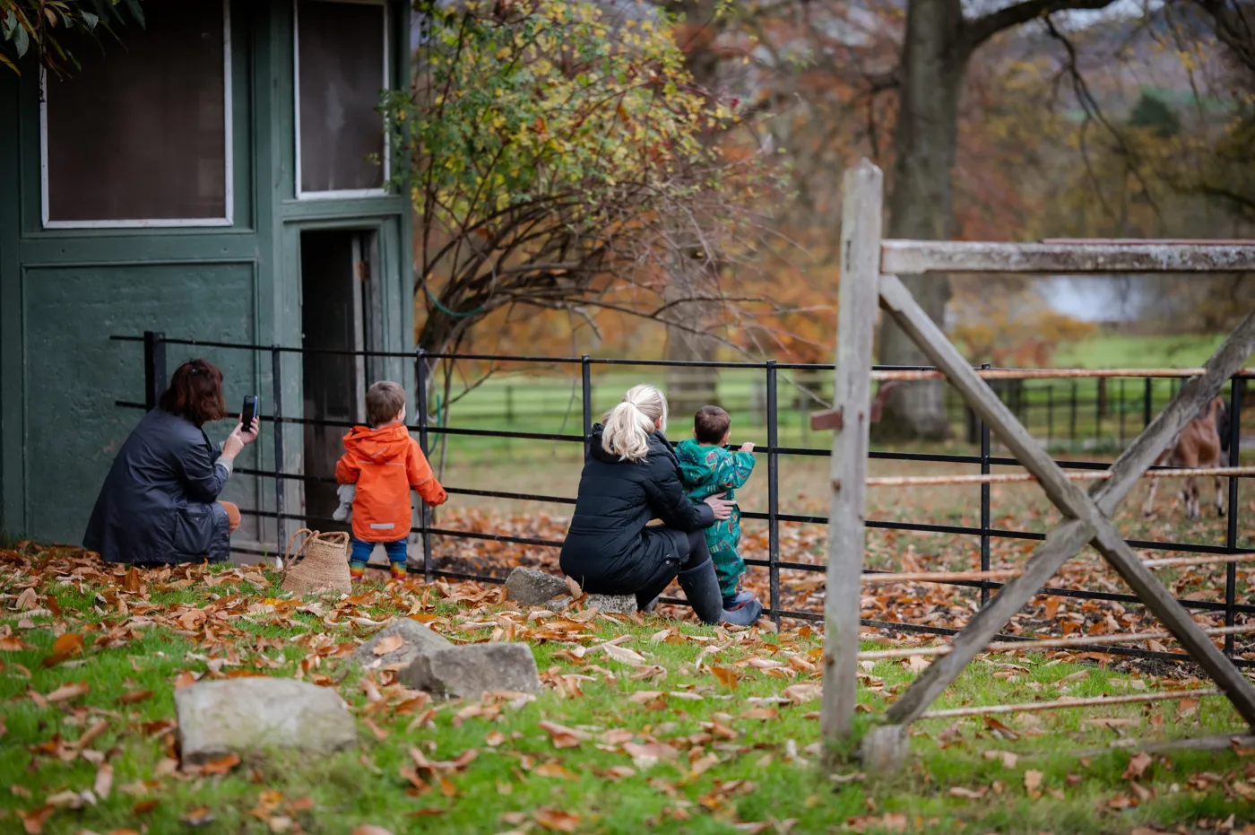 Two adults and two small children sitting on autumn leaves by a metal fence, looking into a paddock