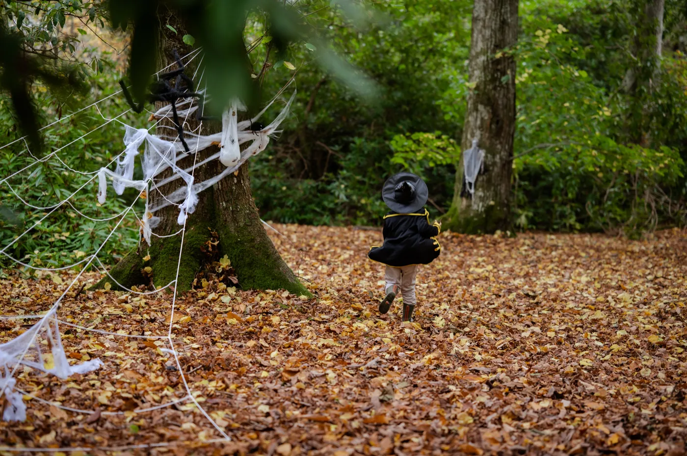 A small child in a witch's hat and cape walking across fallen leaves towards trees hung with fake cobwebs